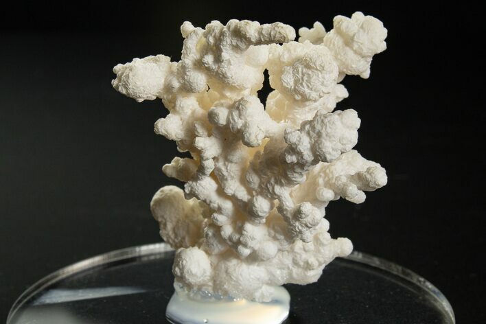 Intricate, Fluorescent Aragonite Formation - Nevada #327482